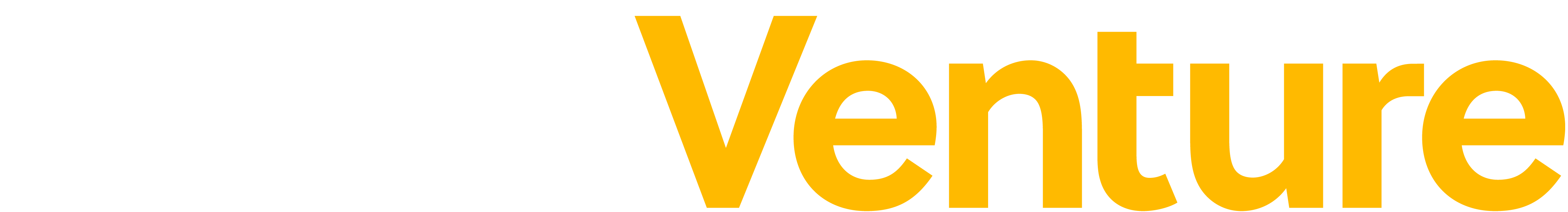 WorkVenture Logo